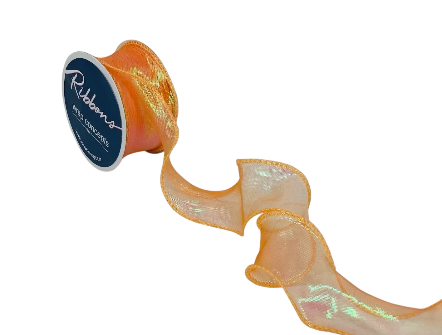 Iridescent Ribbon - Multicolour