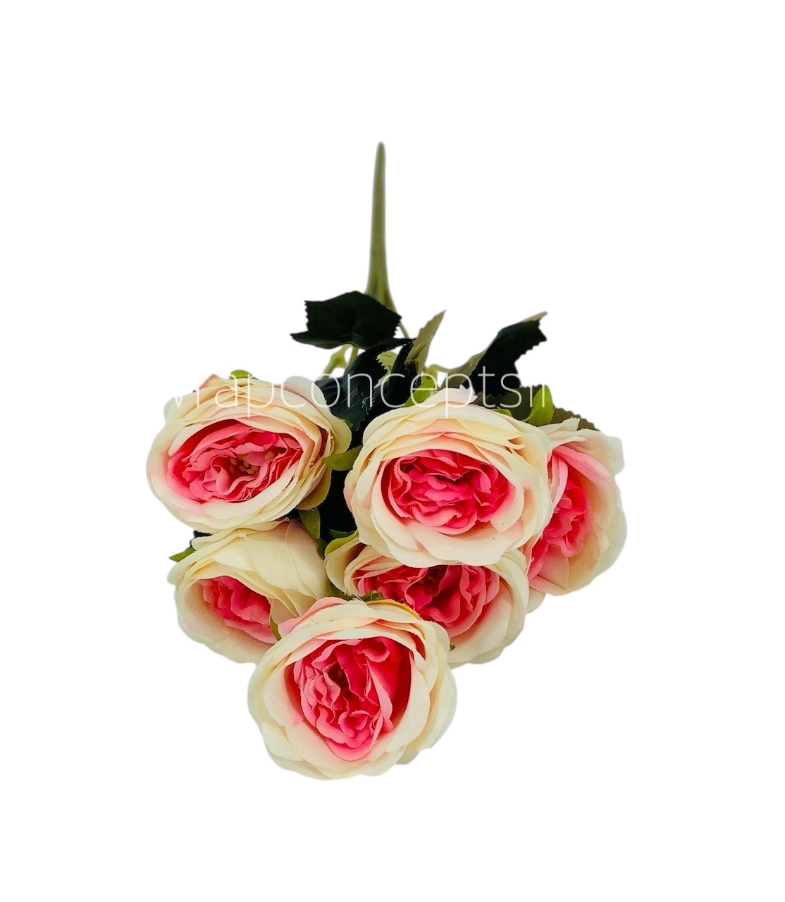 Ivory with hints of hot Pink Peony Bunch