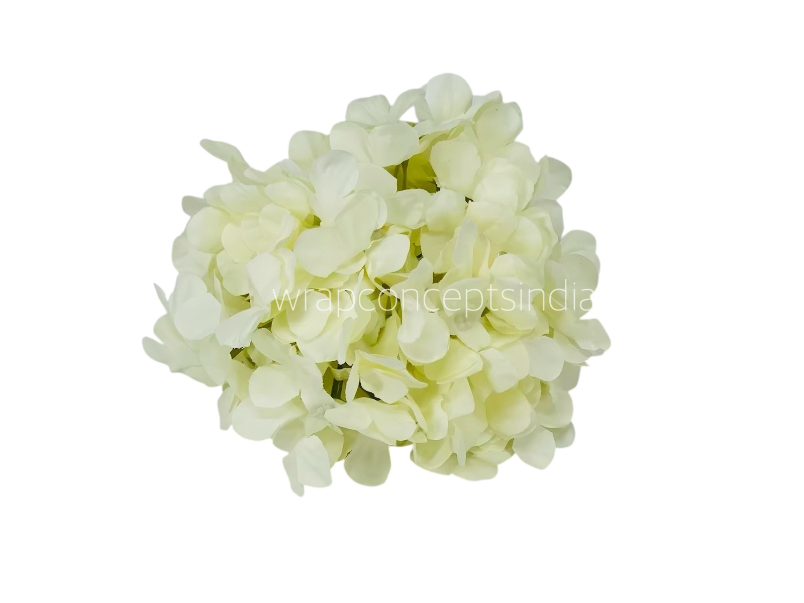 Ivory Hydrangeas