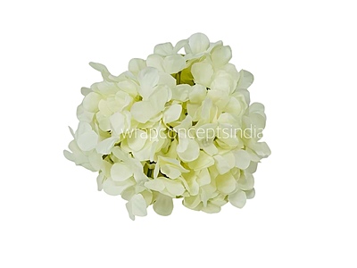 Ivory Hydrangeas