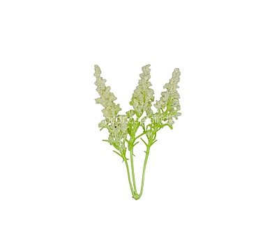 Trio Frosted Fern Leaves - Ivory
