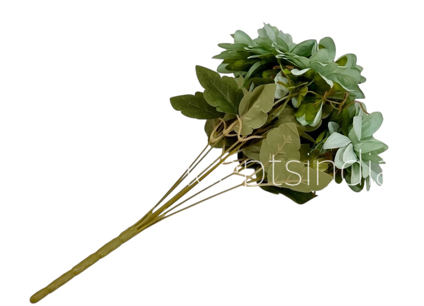 Dahlia Bunch with Leaves Dahlia Bunch with Leaves