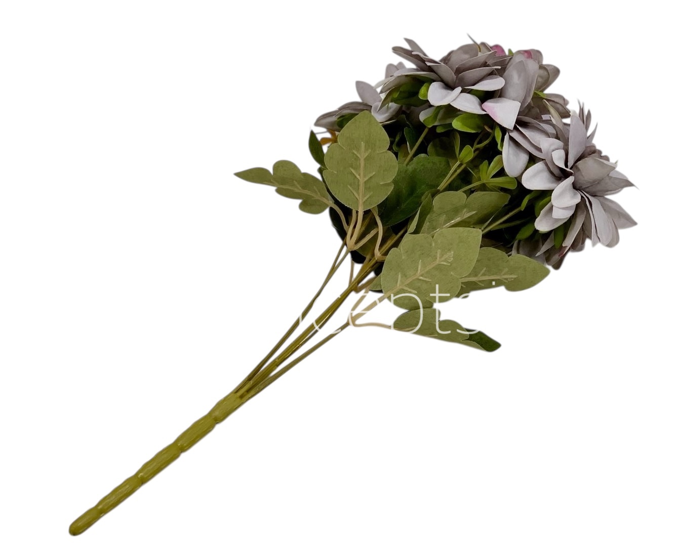 Dahlia Bunch with Leaves Dahlia Bunch with Leaves