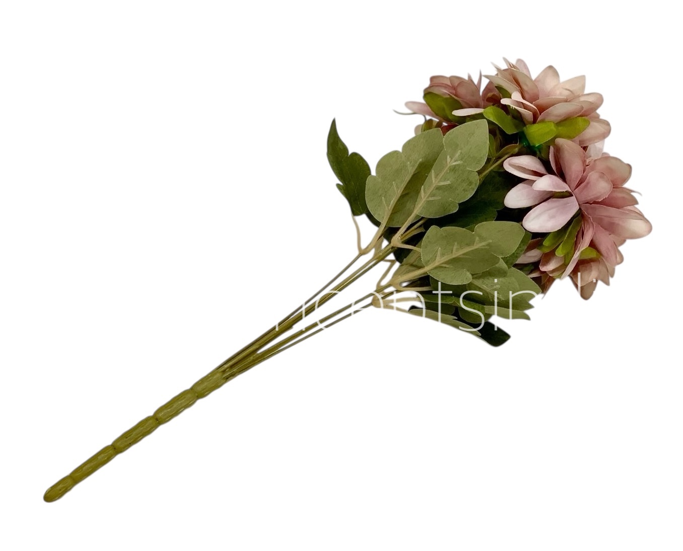 Dahlia Bunch with Leaves Dahlia Bunch with Leaves