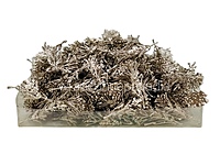 Champagne Willow Filler Leaves