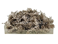 Champagne Willow Filler Leaves