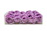 Periwinkle Roses