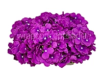 Magenta Hydrangeas