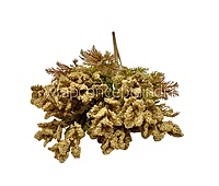 Frosted Wildflower Bush-Wine