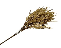 Frosted Willow Spray-Mocha