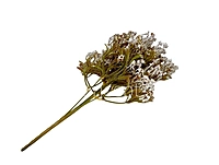 Frosted Heather Bush-Rust