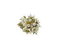 Ivory Glitter Pearl Pollens