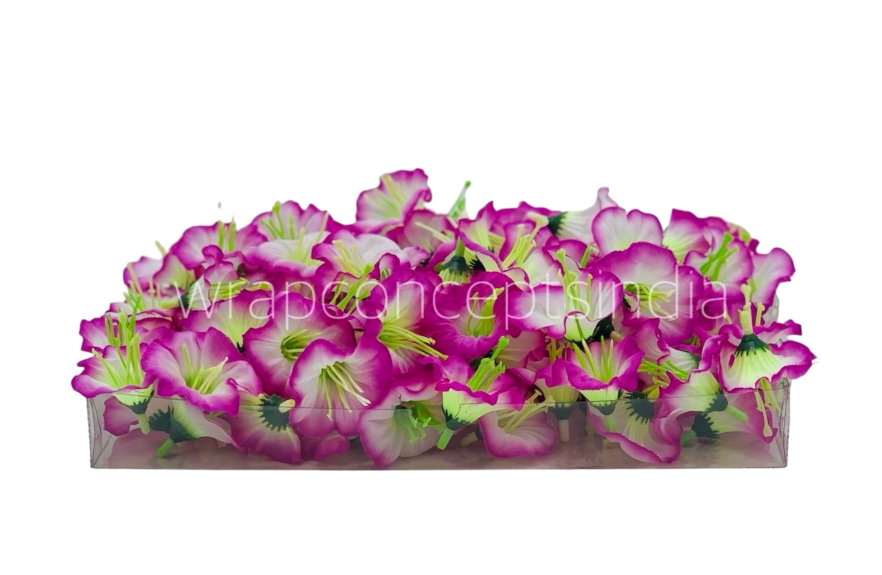 White & Magenta Shaded Lily