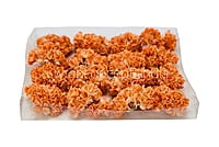 Orange Flowers with Glitter Pollen