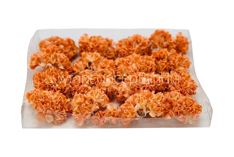 Orange Flowers with Glitter Pollen