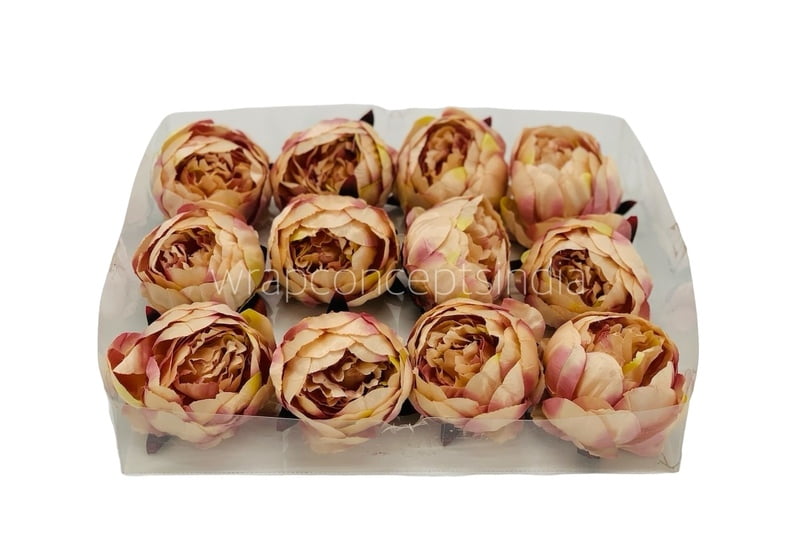 Peony - Cream with hints of Burgundy