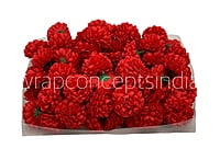 Small Carnation - Red