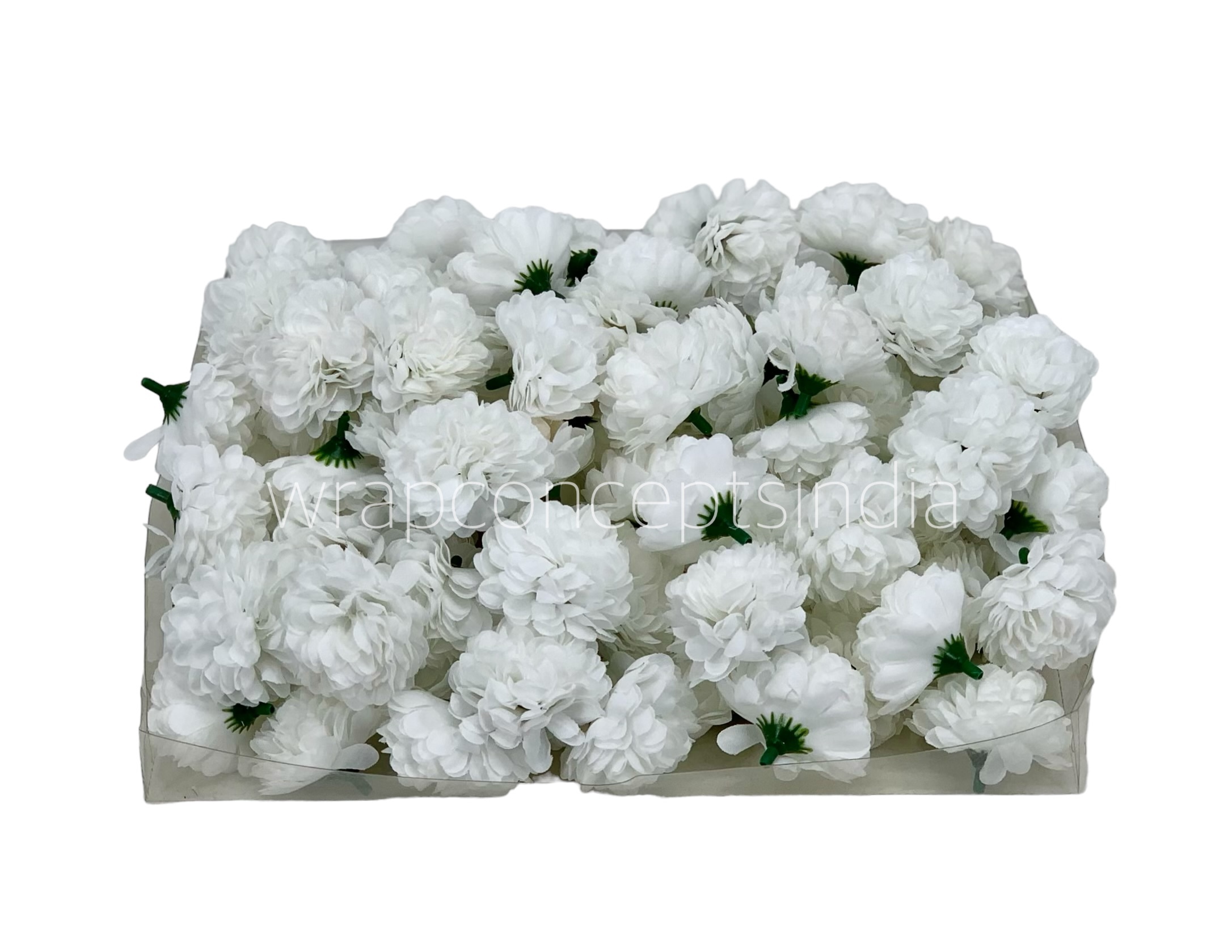 Small Carnation - White