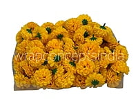 Small Carnation-Yellow