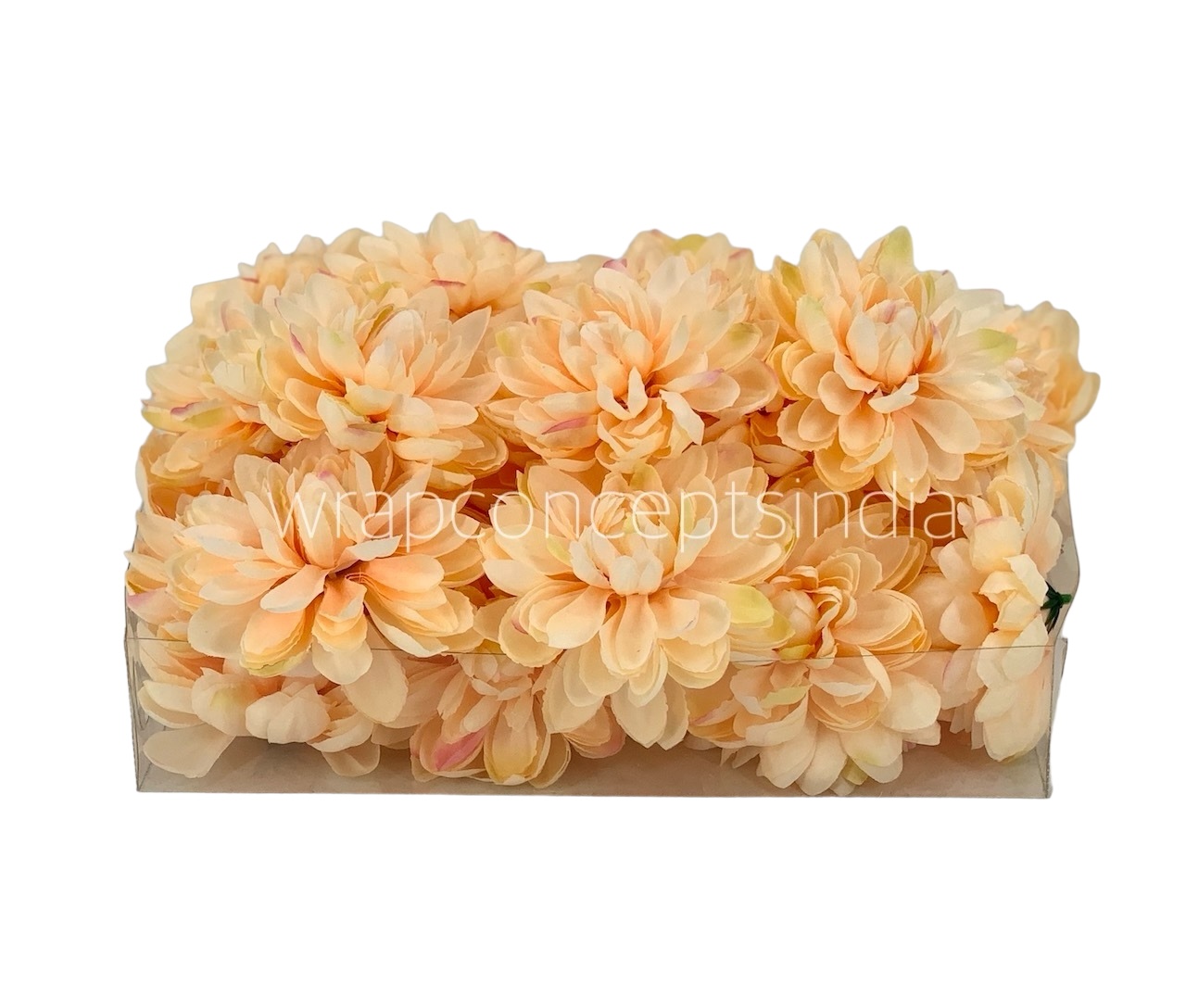 Peach Dahlias