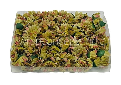 Daisy Flower-Pistachio Green with hints of Pink