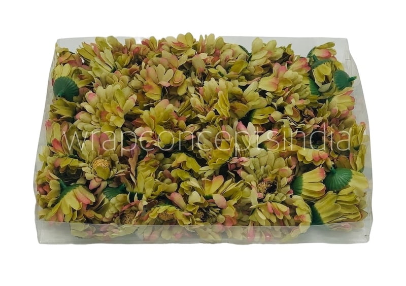 Daisy Flower-Pistachio Green with hints of Pink