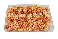 Paper Flowers - Lemon with hints of Peach