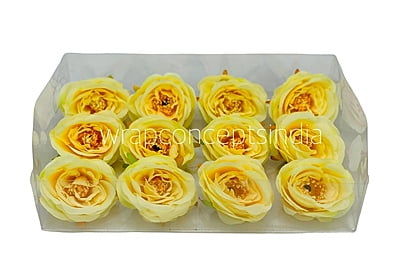 Camellia Flower - Canary