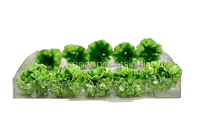 Lime Aubrieta Flower