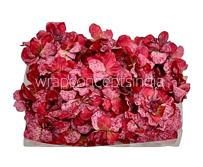 Cherry Red Textured Petunias