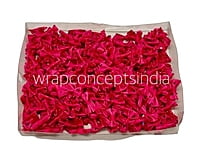 Fuchsia Pink Bows With Anchor