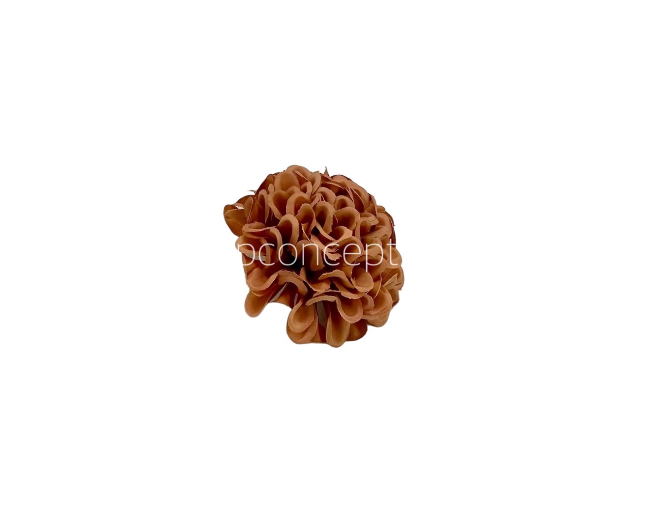 Cherry Wood Carnation