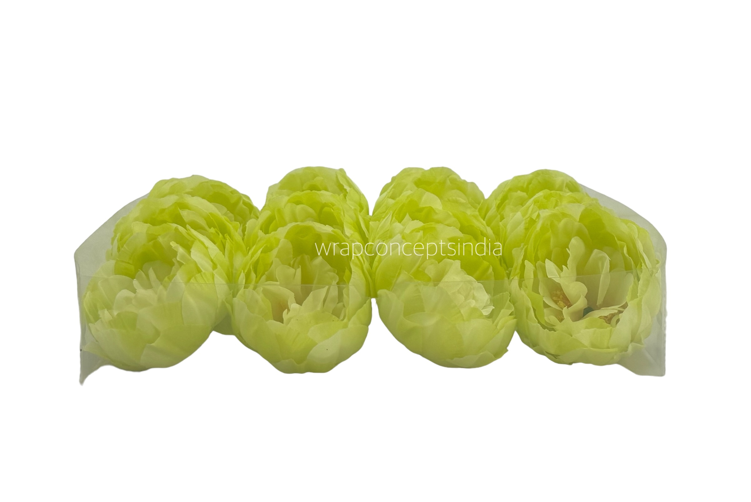 Lime Peony
