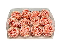 Left over Big Peony -Blush