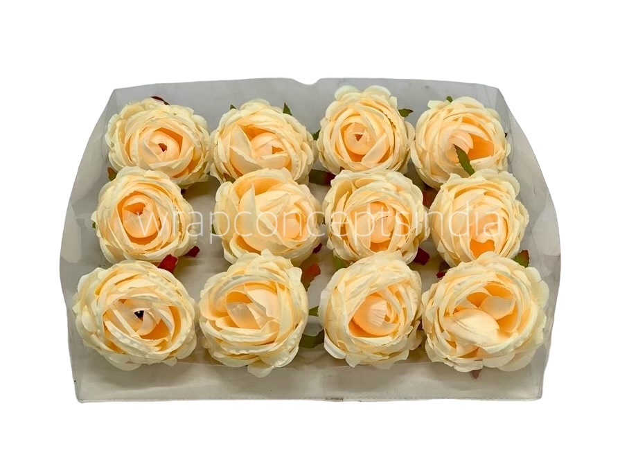 Champagne Peony