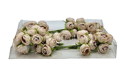 Peonies on stick - Sand Peonies on stick - Sand