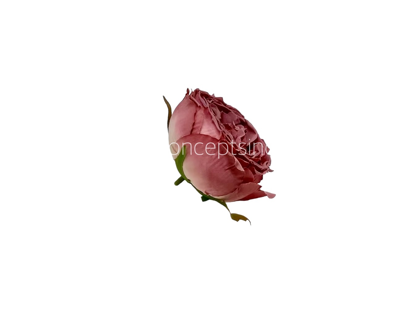 Dusky Rose Buds on Stick