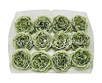 Sage Green Ornate Peony