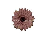 Blush Sunflower