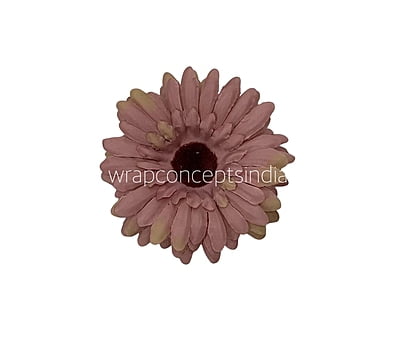 Blush Sunflower