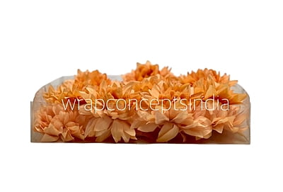 Pumpkin Dahlia Flower