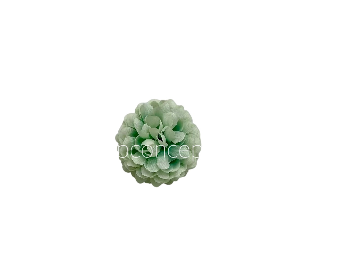 Small Carnation - Pistachio