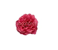 Fuchsia  Moutan Peony