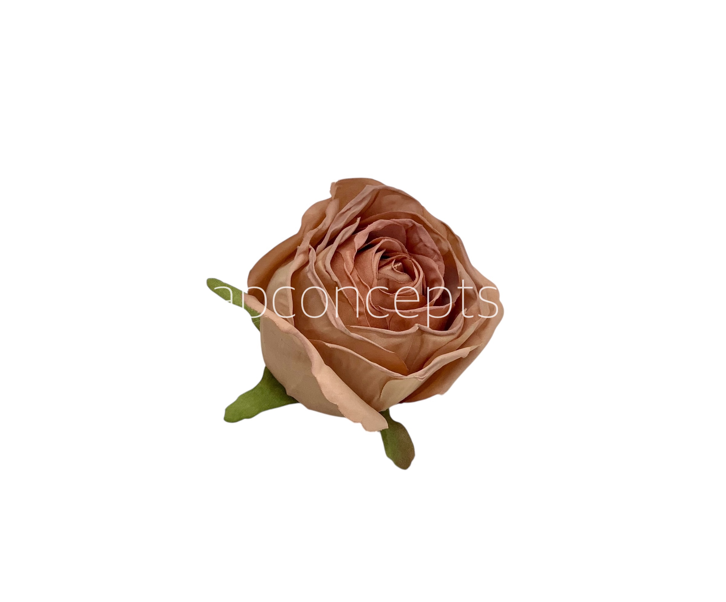Caramel Roses