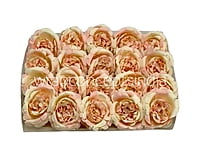 Peach Small Ornate Peonies