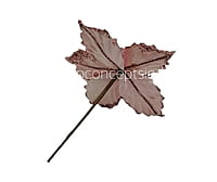 Medium Flower with Glitter Edges