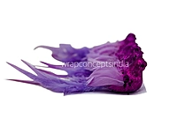 Glittery Birds with Feather Tails (Multicolour)-White