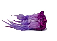 Glittery Birds with Feather Tails (Multicolour)-White