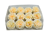 Ornate Peony-Champagne