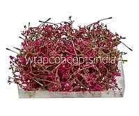 Magenta Floret Leaves